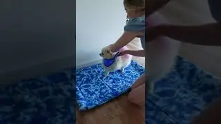 БОРЬБА ЗА ОХЛАЖДАЮЩИЙ КОВРИК 🥶