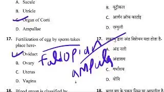 DHS Paper 2023 solved for upcoming exams | 