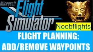 The World Map Interface & Flight Planning | Bonus: Skyvector & Flight Aware info