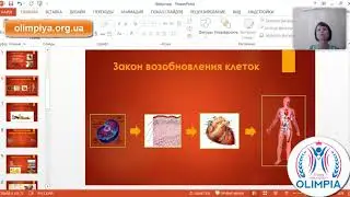 Бесплатный урок по диетологии-нутрициологии от школы 