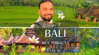 Exploring Bali's Best-kept Secrets: Rice Terraces And Butterfly Gardens Adventure Vlog
