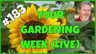 Grow Big in the Garden (Q&A)