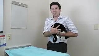 How to squish p..sy 🐱🐈 