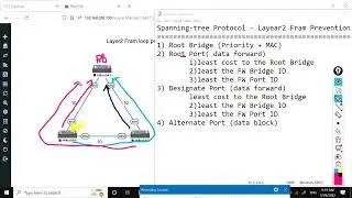 Spanning Tree Protocol ( STP)