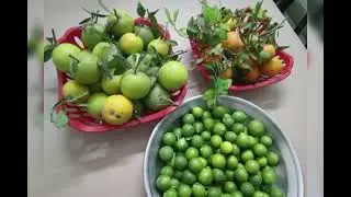 farm house visit somewhere in Pakistan.