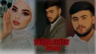 ПРЯМОЙ ЭФИРИ СНИКЕРСЧА ТУЙША ДА КУЧО МЕГУЗАРОНА ХАМАРО ДАВАТ КАД