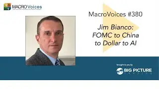 MacroVoices 