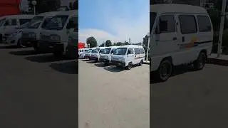 текн болди 