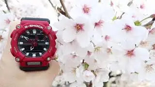 G-SHOCK with Sakura 2021