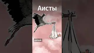 Факты о животных, которые повергнут вас в шок! Что делают аисты с птенцами? Вы могли этого не знать