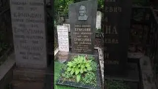 Ермолин Павел Андреевич генерал-лейтенант, Ермолина Анна, Ермолин Владимир, Ваганьковское кладбище