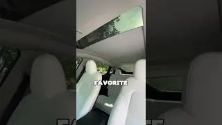 My FAVORITE Mod in My Tesla Model Y ☀️😎