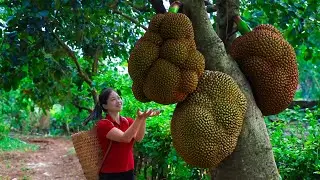 Harvesting Jackfruit & Goes To Market Sell | Gardening And Cooking | Lý Tiểu Vân