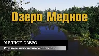 Пошел проверить клев на Медном в Повышенную температуру и поймал 2 трофея