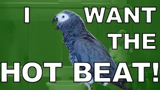 Bird Dubstep