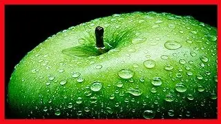 A Forma Garantida de Como Tirar Fotos Nítidas ➜ Curso de Fotografia Online