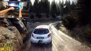 Peugeot 208 R2 | Dirt Rally 2.0 | Thrustmaster T300RS Gameplay