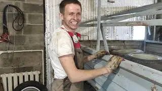 Оживление Газели после пяти лет простоя!