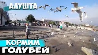 Крым Алушта набережная 2020 Кормим голубей гуляем и кушаем Вид с квадрокоптера