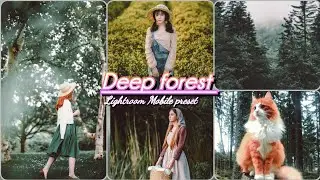 Deep forest - Lightroom Mobile preset / Deep preset / forest preset / Moody preset