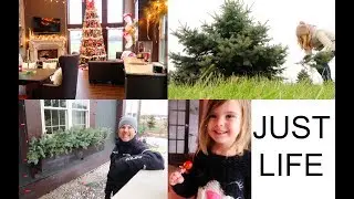 'Winter Window Box, Thanksgiving Prep & Christmas Decor', Just Life, Season 2: Episode 32