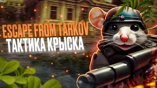 Операция мышь⚪️ Какую тактику выбрать?⚪️ESCAPE FROM TARKOV ⚪️EFT