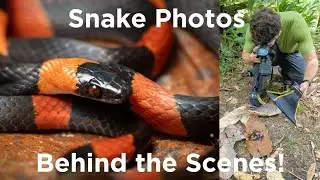 Snake Photography BTS! (Peruvian Amazon Travel Vlog Episode 2.5)