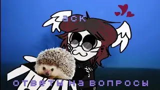 аск //овтеты на вопросы//