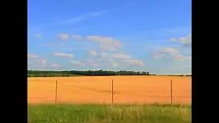 New VHS Effect Test