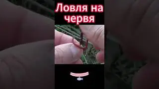 Ловля на червя
