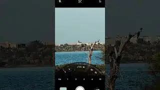 A step closer to perfect shots | realme 12 Pro Plus 5G