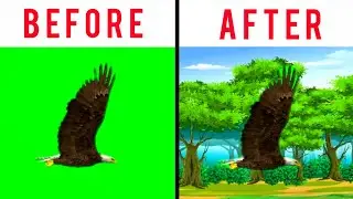 Green Screen Eagle Bird Flying | cartoon intro green screen 