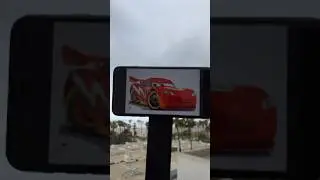 The Lightning ⚡️💀 