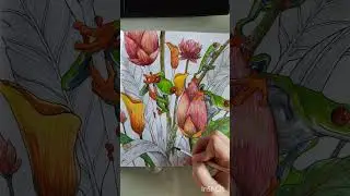 Раскрашиваю лягушат из Керби Розанеса #раск #раскраскидлявзрослых #coloringbook