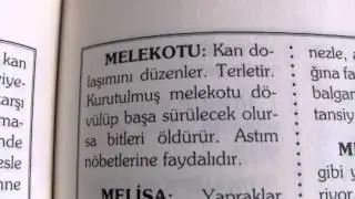 Kan dolaşımını düzenleyen bitki