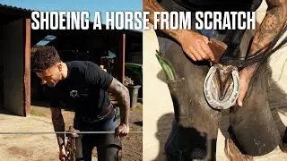 How to shoe a horse from SCRATCH!