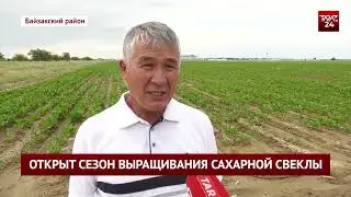 ОТКРЫТ СЕЗОН ВЫРАЩИВАНИЯ САХАРНОЙ СВЕКЛЫ