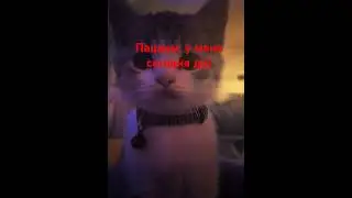 др
