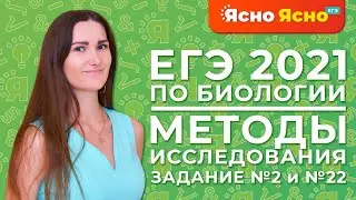 ЕГЭ по биологии 2021 | Методы исследования в биологии | Задачи линии №2 и №22 | Ясно Ясно ЕГЭ