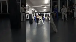 Seminar by Vlad Shypinskyi. Self-defense techniques Combat Ju-Jutsu in the Carpathians 2024. Video11