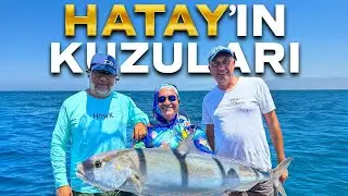 Leerfish Hunt in Hatay