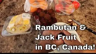 Rambutan & Jack Fruit in BC #rambutan #jackfruit