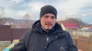 Сколько же я зарабатываю на пчеловодстве ? Пчеловодство как бизнес !