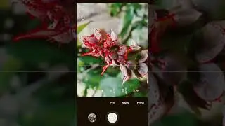 How to click better photos with Android  | 