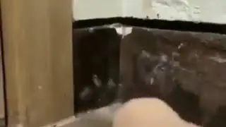 Прикол сичкон