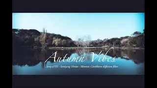 Autumn Vibes - Sony a7III  Samyang 18 f2.8 - Moment Cinebloom Diffusion filter 10%