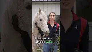 How To Bridle A Horse