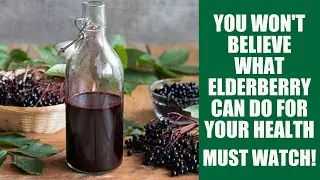 Top 5 Health Benefits of Elderberry: The Secret Superfood You've Been Missing