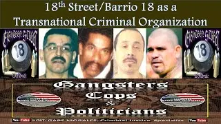 18th Street/Barrio 18 as a Transnational Criminal Organization