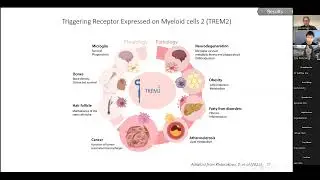 [Noa Rachmian] Identification of senescent, TREM2-expressing microglia in aging & AD mouse brain